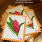 Sept 2026 Turtle Mail Club Letter [Catch-Up Mail]