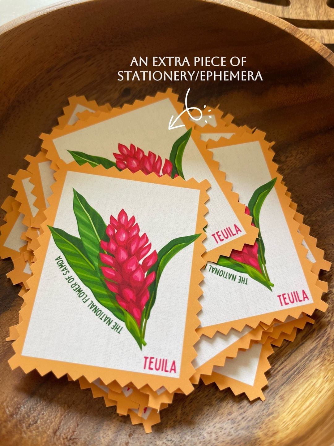 Sept 2026 Turtle Mail Club Letter [Catch-Up Mail]