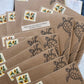 Sept 2026 Turtle Mail Club Letter [Catch-Up Mail]