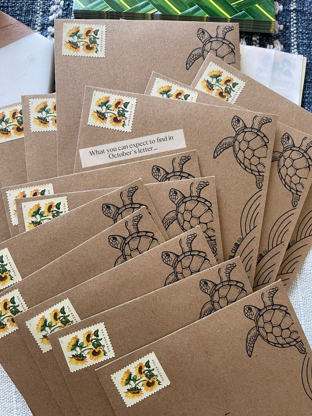 Sept 2026 Turtle Mail Club Letter [Catch-Up Mail]